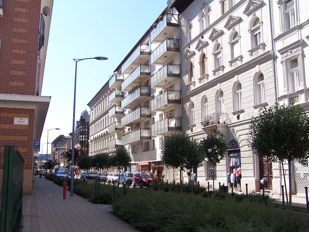 Apartment Sinko - Free Garage Parking, Central, 2 Bedrooms 4 Single Beds, Flexi Check-Out Будапешт Екстер'єр фото
